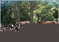 [Click to enlarge]