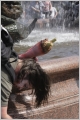 [Click to enlarge]